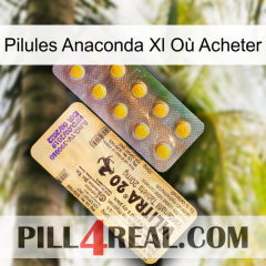 Pilules Anaconda Xl Où Acheter new06